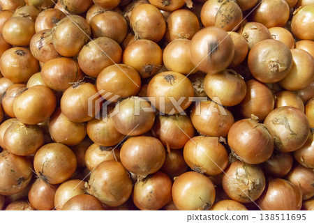 Fresh and delicious onions harvested in the field 138511695