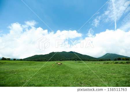初夏的草原和藍天 138511763
