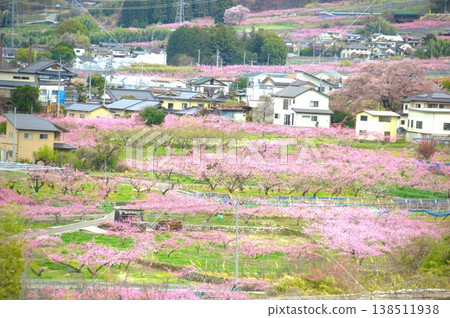 Scenery of Fuefuki city Scenery of Fuefuki city 138511938