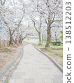 漫步在天神中央公園兩旁櫻花盛開的小徑上。 138512203