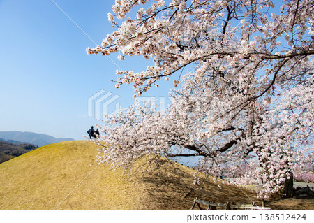 Spring: Somei Yoshino cherry blossoms and a bright blue sky at Yashiro Furusato Park in Fuefuki City. Spring: Somei Yoshino cherry blossoms and a bright blue sky at Yashiro Furusato Park in Fuefuki City. 138512424