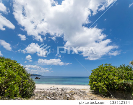 [Kagoshima] The sea of Amami Oshima 138512524