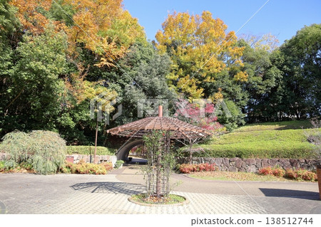 Rose pole stand; background: yellow leaves, mixed forest Rose pole stand; background: yellow leaves, mixed forest 138512744
