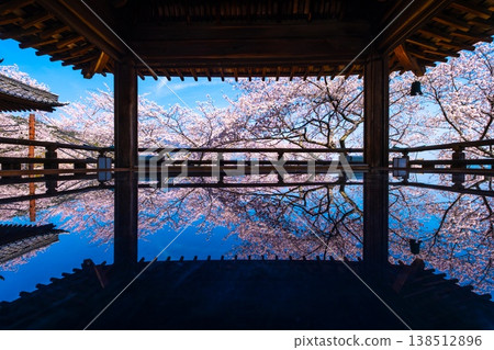 Cherry blossoms reflected on the floor of the moon-viewing stage at Mii-dera Temple. Cherry blossoms reflected on the floor of the moon-viewing stage at Mii-dera Temple. 138512896