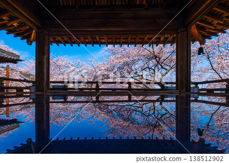 Cherry blossoms reflected on the floor of the moon-viewing stage at Mii-dera Temple. Cherry blossoms reflected on the floor of the moon-viewing stage at Mii-dera Temple. 138512902