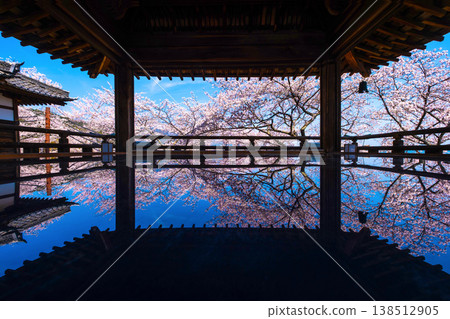 Cherry blossoms reflected on the floor of the moon-viewing stage at Mii-dera Temple. Cherry blossoms reflected on the floor of the moon-viewing stage at Mii-dera Temple. 138512905
