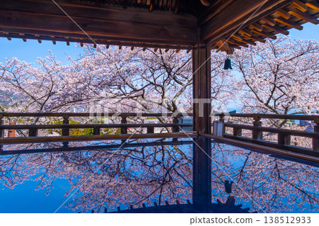 Cherry blossoms reflected on the floor of the moon-viewing stage at Mii-dera Temple. Cherry blossoms reflected on the floor of the moon-viewing stage at Mii-dera Temple. 138512933