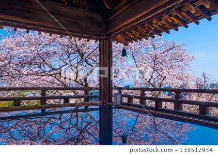 Cherry blossoms reflected on the floor of the moon-viewing stage at Mii-dera Temple. 138512934