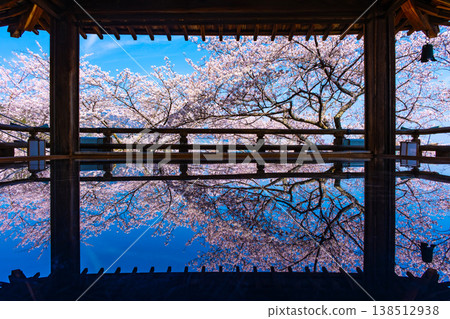 Cherry blossoms reflected on the floor of the moon-viewing stage at Mii-dera Temple. Cherry blossoms reflected on the floor of the moon-viewing stage at Mii-dera Temple. 138512938