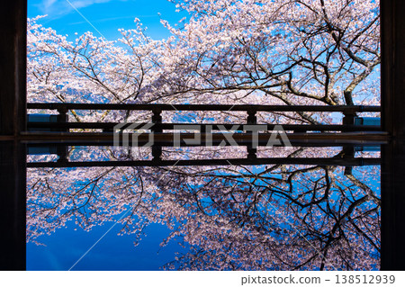 Cherry blossoms reflected on the floor of the moon-viewing stage at Mii-dera Temple. Cherry blossoms reflected on the floor of the moon-viewing stage at Mii-dera Temple. 138512939
