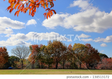 Autumn park, trees changing color 138513172