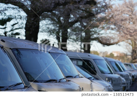 Cars parked under cherry blossoms in a parking lot. 138513473