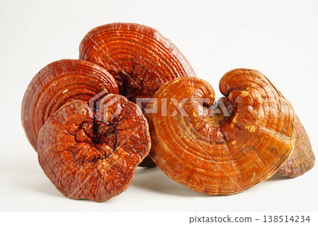 Lingzhi or Reishi mushroom with capsules, organic natural healthy food. 138514234