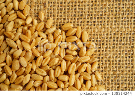 Wheat and grains ears agricultural, organic farm concept. Wheat and grains ears agricultural, organic farm concept. 138514244