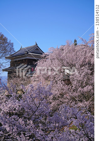 Cherry blossoms at Ueda castle ruins park Cherry blossoms at Ueda castle ruins park 138514512