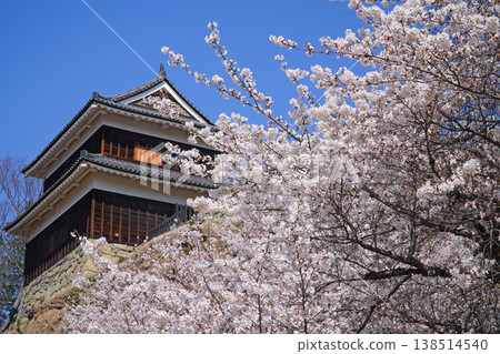 在Ueda城堡的櫻花破壞公園 在Ueda城堡的櫻花破壞公園 138514540
