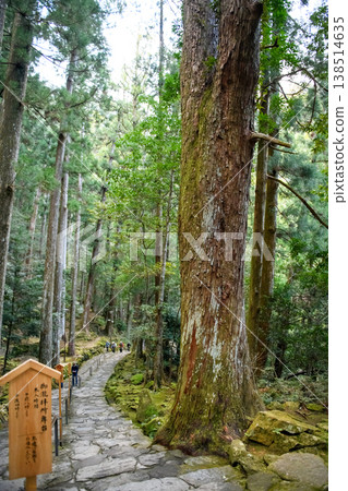 Nachi Falls, the pilgrimage route to Hiryu Shrine at dusk, Wakayama Prefecture Nachi Falls, the pilgrimage route to Hiryu Shrine at dusk, Wakayama Prefecture 138514635