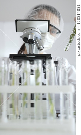 Scientist in white protective mask and gloves holding test tube with plant sample, researching botany and medical applications using a microscope. Medicine, health care and science concept Scientist in white protective mask and gloves holding test tube with plant sample, researching botany and medical applications using a microscope. Medicine, health care and science concept 138514851