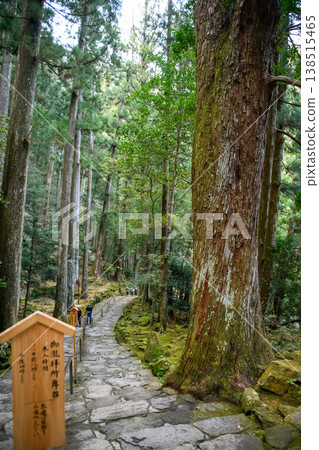 那智瀑布，黃昏時分通往飛龍神社的朝聖之路，和歌山縣 138515465