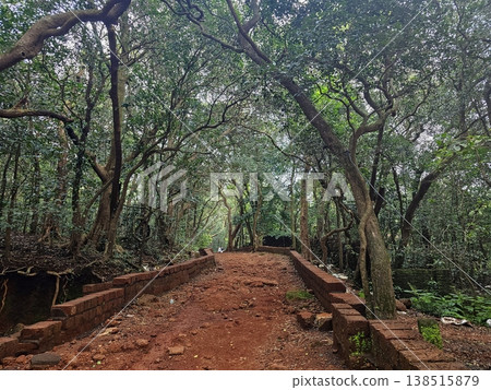 Stone-lined walking trail passing through thick woodland in Matheran, ideal for nature walks and showcasing the towns car-free environment. 138515879