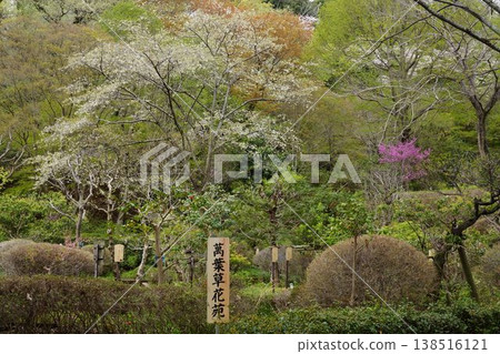 Scenery of Yakushiike Park in Machida City, Tokyo Scenery of Yakushiike Park in Machida City, Tokyo 138516121