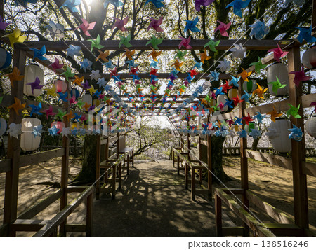 A tunnel of colorful windmills adorning the shrine grounds, bathed in spring light. A tunnel of colorful windmills adorning the shrine grounds, bathed in spring light. 138516246