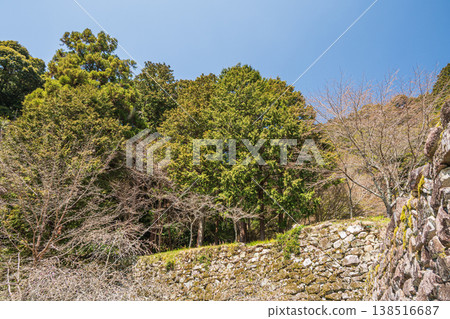 Stone walls of Azuchi Castle ruins, Omihachiman City, Shiga Prefecture 138516687