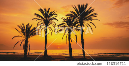 Seascape in early morning. Embankment with palm trees during a beautiful sunrise. Promenade with palm trees. San Juan beach, Alicante, Spain. Horizontal banner 138516711
