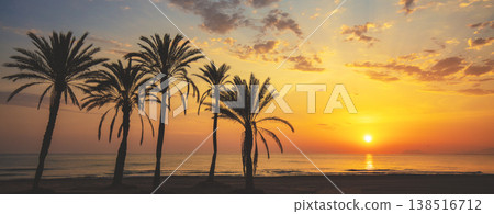 Seascape in early morning. Embankment with palm trees during a beautiful sunrise. Promenade with palm trees. San Juan beach, Alicante, Spain. Horizontal banner 138516712