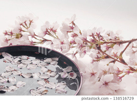 櫻花漂浮在水中 櫻花漂浮在水中 138516729