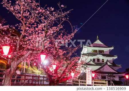 城山公園的夜櫻和燈光璀璨的城堡：夢幻般的春夜景色。 138516909