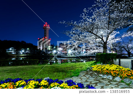 Skyward Asahi and cherry blossoms in full bloom: The night view of Owariasahi dyed in spring colors. Skyward Asahi and cherry blossoms in full bloom: The night view of Owariasahi dyed in spring colors. 138516955