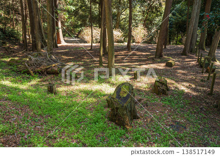 Forest scenery at the site of Azuchi Castle, Azuchi, Omihachiman City, Shiga Prefecture 138517149