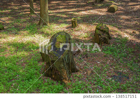 滋賀縣近江八幡市安土城遺址的森林景色 138517151