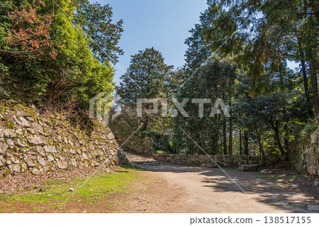 滋賀縣近江八幡市安土城遺址的森林景色 滋賀縣近江八幡市安土城遺址的森林景色 138517155