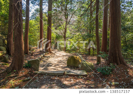 滋賀縣近江八幡市安土城遺址的森林景色 滋賀縣近江八幡市安土城遺址的森林景色 138517157