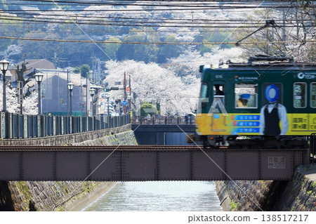 Lake Biwa Canal, the cherry blossoms in full bloom at Mii-dera Temple, and the Keihan Railway. Lake Biwa Canal, the cherry blossoms in full bloom at Mii-dera Temple, and the Keihan Railway. 138517217
