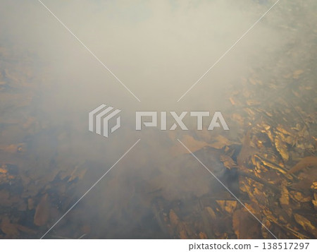 Burning fallen leaves 138517297