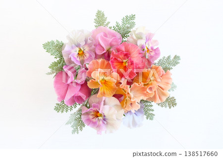 一束柔和色調的三色堇 138517660