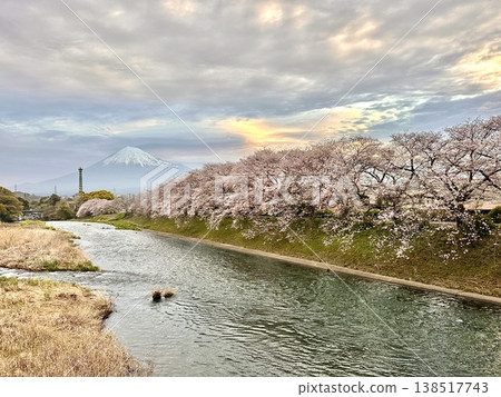 Cherry blossoms and Mount Fuji as seen from Ryuganbuchi Cherry blossoms and Mount Fuji as seen from Ryuganbuchi 138517743