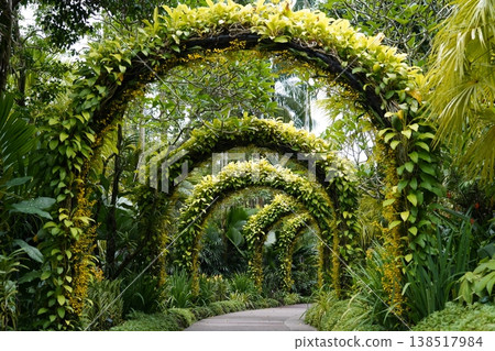Botanical Garden Archway Path Lush Greenery Serene Botanical Garden Archway Path Lush Greenery Serene 138517984