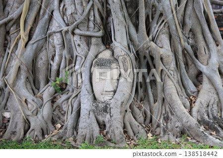 泰國阿瑜陀耶府的瑪哈泰寺（Wat Phra Mahathat）是聯合國教科文組織世界遺產，寺內有一座佛頭被樹根吞噬的寺廟。 138518442