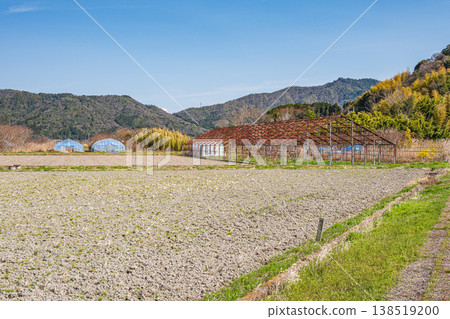 Rural scenery of Higashiomi City, Shiga Prefecture 138519200