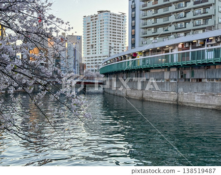 Cherry blossoms in full bloom adorn the waterfront of the Ooka River, with the cityscape of Yokohama in the background. April 2026, Yokohama City, Japan. Cherry blossoms in full bloom adorn the waterfront of the Ooka River, with the cityscape of Yokohama in the background. April 2026, Yokohama City, Japan. 138519487