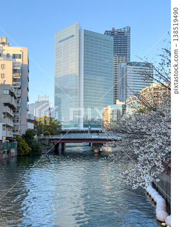 Spring in Yokohama, where cherry blossoms along the Ooka River intertwine with skyscrapers. April 2026, Yokohama City, Japan. 138519490
