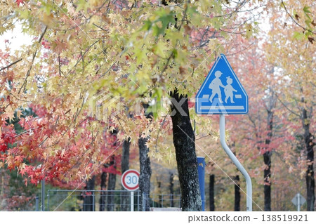 Pedestrian crossing signs, traffic signs protecting children's safety, surrounded by the colors of autumn. Pedestrian crossing signs, traffic signs protecting children's safety, surrounded by the colors of autumn. 138519921