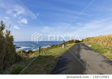 Springtime on Jogashima Island, the southernmost point of Kanagawa Prefecture Springtime on Jogashima Island, the southernmost point of Kanagawa Prefecture 138519965