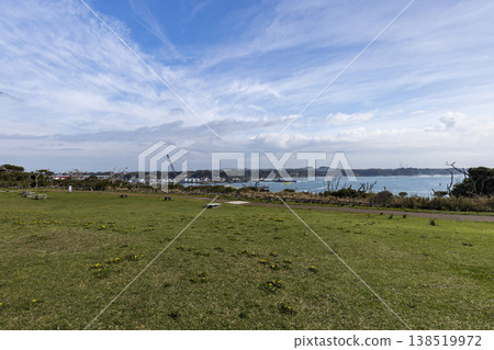 Springtime on Jogashima Island, the southernmost point of Kanagawa Prefecture Springtime on Jogashima Island, the southernmost point of Kanagawa Prefecture 138519972