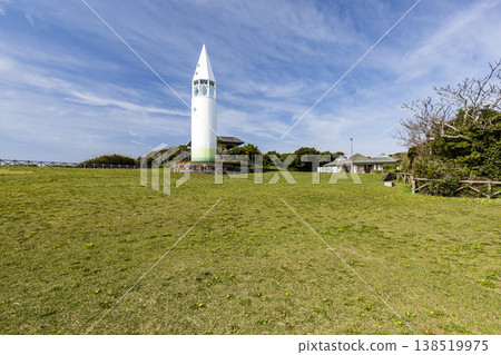 Springtime on Jogashima Island, the southernmost point of Kanagawa Prefecture 138519975