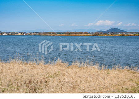滋賀縣東近江市伊波湖、大道川 滋賀縣東近江市伊波湖、大道川 138520163